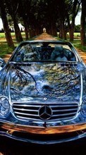Télécharger une image Voitures,Mercedes,Transports pour le portable gratuitement.
