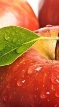 Télécharger une image Nourriture,Contexte,Pommes,Drops,Fruits pour le portable gratuitement.