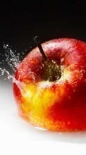Télécharger une image Pommes,Nourriture,Fruits pour le portable gratuitement.