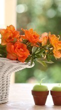 Télécharger une image Plantes,Fleurs,Bouquets,Bougies pour le portable gratuitement.