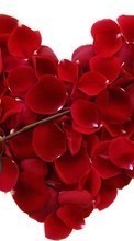 Fleurs,Objets,Plantes,Roses,Cœurs pour BlackBerry Torch 9860