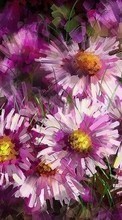 Télécharger une image Plantes,Fleurs,Dessins pour le portable gratuitement.