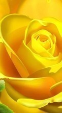 Télécharger une image 320x240 Plantes,Fleurs,Roses,Dessins pour le portable gratuitement.
