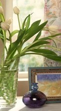 Télécharger une image 128x160 Plantes,Fleurs,Tulipes,Dessins pour le portable gratuitement.