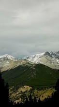Télécharger une image Paysage,Arbres,Montagnes pour le portable gratuitement.