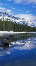 Télécharger une image Paysage,Hiver,Rivières,Arbres,Montagnes pour le portable gratuitement.