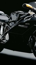 Télécharger une image 240x400 Transports,Moto,Ducati pour le portable gratuitement.