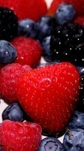 Télécharger une image 128x160 Fruits,Nourriture,Fraise,Myrtilles,Baies pour le portable gratuitement.