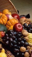 Télécharger une image Nourriture,Fruits,Légumes pour le portable gratuitement.
