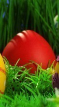 Télécharger une image Fêtes,Nourriture,Eggs,De Pâques pour le portable gratuitement.