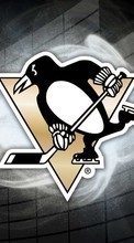 Télécharger une image Sport,Pinguouins,Contexte,Logos,Hockey pour le portable gratuitement.