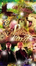 Cinéma,Harry Potter pour HTC EVO 4G