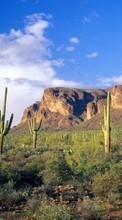 Télécharger une image Paysage,Cactus,Montagnes pour le portable gratuitement.