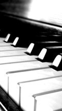 Télécharger une image Piano,Musique pour le portable gratuitement.