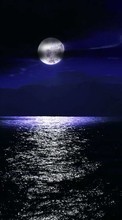 Télécharger une image Lune,Mer,Nuit,Paysage pour le portable gratuitement.