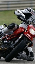 Télécharger une image Sport,Transports,Moto,Motocross pour le portable gratuitement.