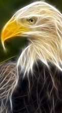 Télécharger une image 1280x800 Animaux,Dessins,Eagles pour le portable gratuitement.