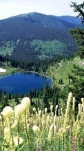Lacs,Paysage,Nature pour HTC Touch
