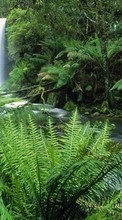 Paysage,Nature,Cascades pour Xiaomi Mi 11