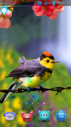 Oiseaux 3D  - télécharger gratuit un fond d'écran animé 3D pour le portable.