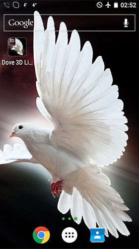 Pigeon 3D  - télécharger gratuit un fond d'écran animé Animaux pour le portable.