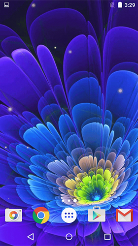 Fleurs lumineuses  - télécharger gratuit un fond d'écran animé 3D pour le portable.