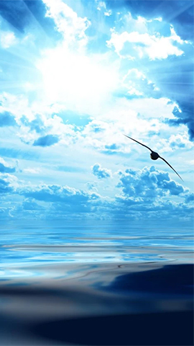 Mer et ciel  - télécharger gratuit un fond d'écran animé Paysage pour le portable.