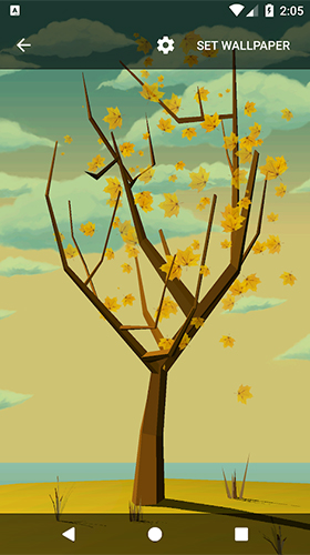Arbre avec des feuilles tombantes  - télécharger gratuit un fond d'écran animé Paysage pour le portable.
