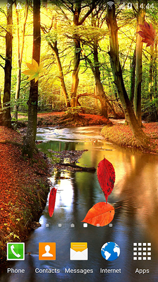 Forêt d'automne - télécharger gratuit un fond d'écran animé pour le portable.