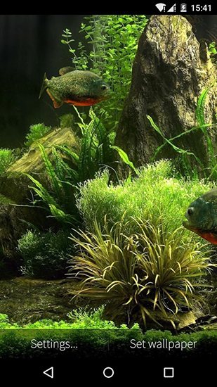 Aquarium avec les poissons 3D - télécharger gratuit un fond d'écran animé pour le portable.