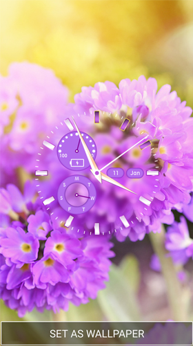 Télécharger Chrono de fleurs , fond d'écran animé gratuit pour Android sur le bureau. 