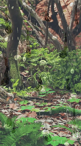 Télécharger Forêt magique , fond d'écran animé gratuit pour Android sur le bureau. 