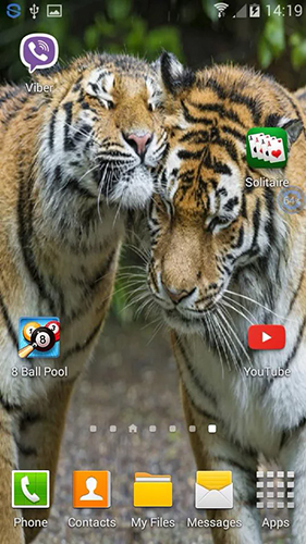 Télécharger gratuitement le fond d'écran animé Tigres: Secouez et changez  sur les portables et les tablettes Android.