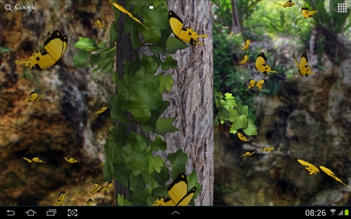 Télécharger Papillons 3D, fond d'écran animé gratuit pour Android sur le bureau. 