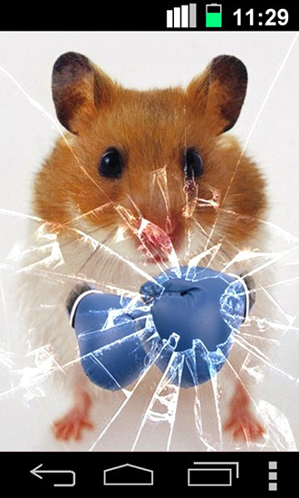 Télécharger Hamster amusant: Ecran craqué, fond d'écran animé gratuit pour Android sur le bureau. 