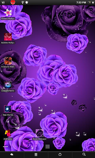 Télécharger Roses 2 , fond d'écran animé gratuit pour Android sur le bureau. 