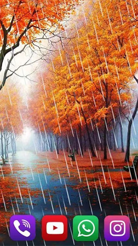 Pluie d'automne 