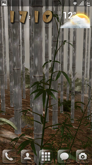 La capture d'écran Le bois de bambou 3D  pour le portable et la tablette.