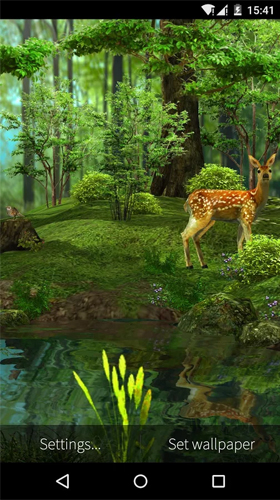 Cerf et nature 3D 