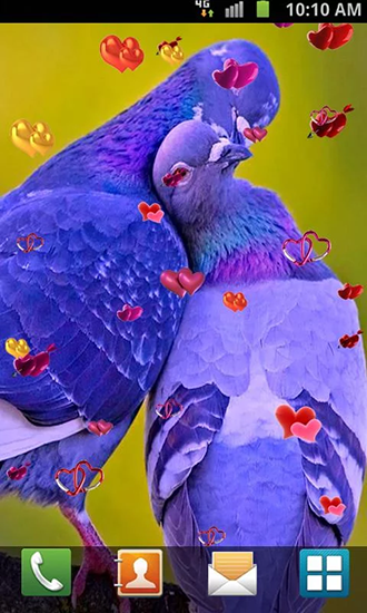 La capture d'écran Amour: Oiseaux pour le portable et la tablette.