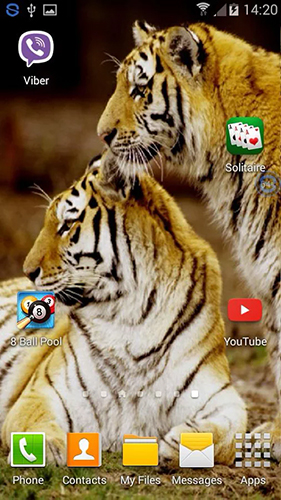 La capture d'écran Tigres: Secouez et changez  pour le portable et la tablette.