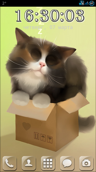 Le chat dans la boite 