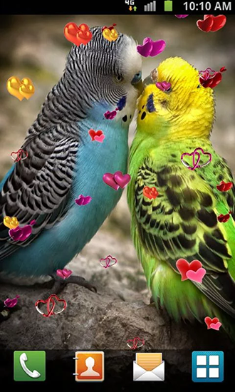 Amour: Oiseaux