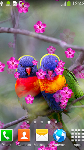 Oiseaux amoureux  