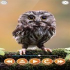 Téléchargez Sons des oiseaux  sur Android et d'autres fonds d'écran animés gratuits pour HTC Desire HD.