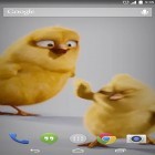 Outre le fond d'écran animé Galaxy S3. Dent-de-lion  pour Android téléchargez l'apk gratuit de screensaver Poulets  .