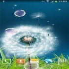 Outre le fond d'écran animé Ma fleur 3D  pour Android téléchargez l'apk gratuit de screensaver Dents-de-lion .