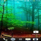 Outre le fond d'écran animé La parallaxe carrelé  pour Android téléchargez l'apk gratuit de screensaver Forêt  .