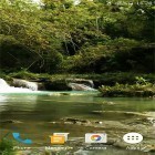 Outre le fond d'écran animé Mon poisson 3D pour Android téléchargez l'apk gratuit de screensaver Ruisseau de forêt  .