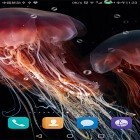 Outre le fond d'écran animé Cimetière effrayant pour Android téléchargez l'apk gratuit de screensaver Méduse .